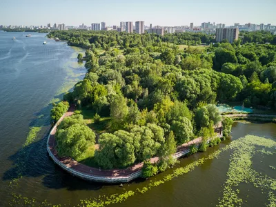 Парк «Северное Тушино» и берег Химкинского водохранилища с высоты