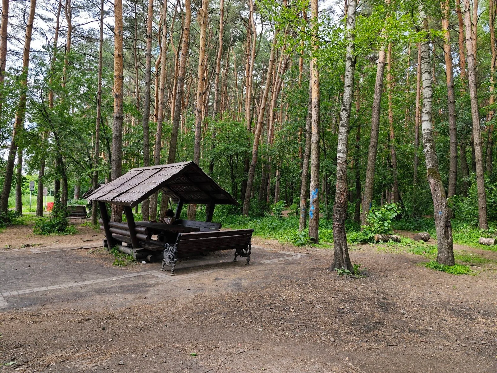 Деревянная беседка на лесной дорожке